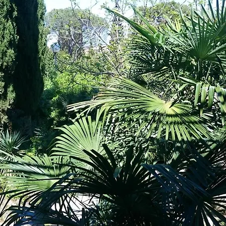 Korado